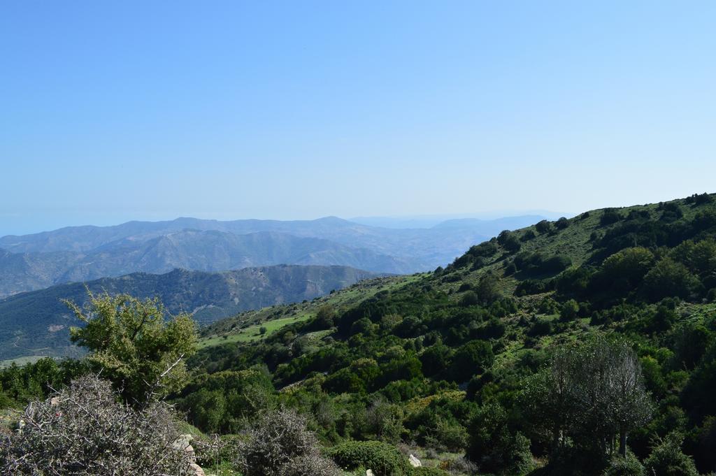 Il Castello Bed & Breakfast Petralia Sottana Bagian luar foto